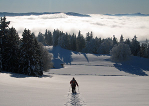 Schneeschuhlaufen im Jura