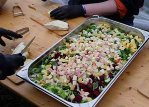 Expériences à la ferme bio