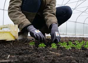 Expériences à la ferme bio