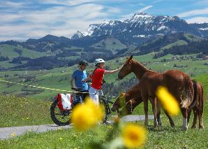 Tier-Safari mit dem E-Bike