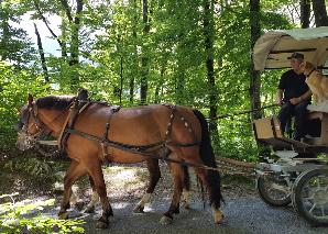 Safari animalier en vélo électrique