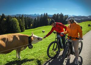 Tier-Safari mit dem E-Bike