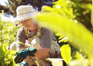 Les secrets du jardin de Grosi