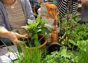 Cours sur les herbes