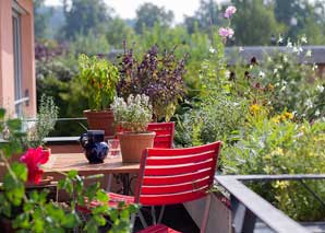 Découvrir le jardinage urbain